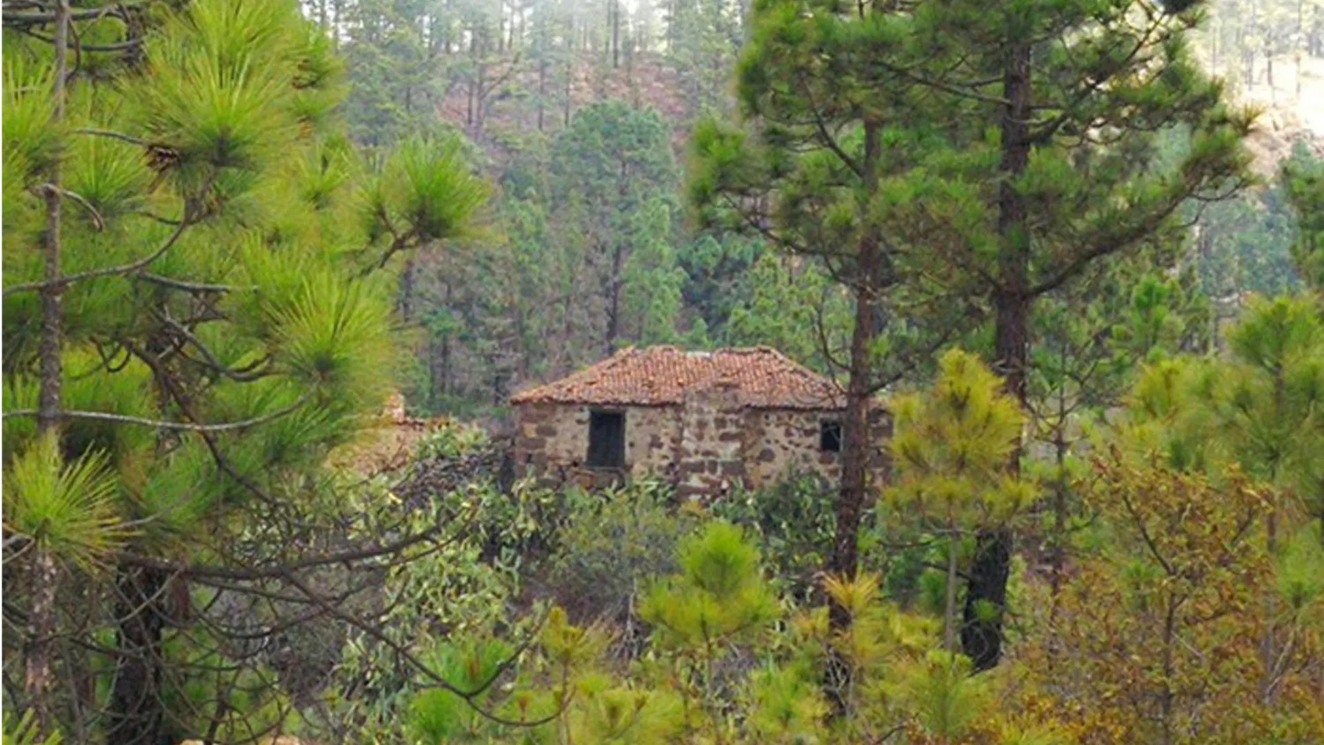 Live Adeje Ifonche Relax Place With Terrace Costa Adeje  0*, Costa Adeje (Tenerife) Spain